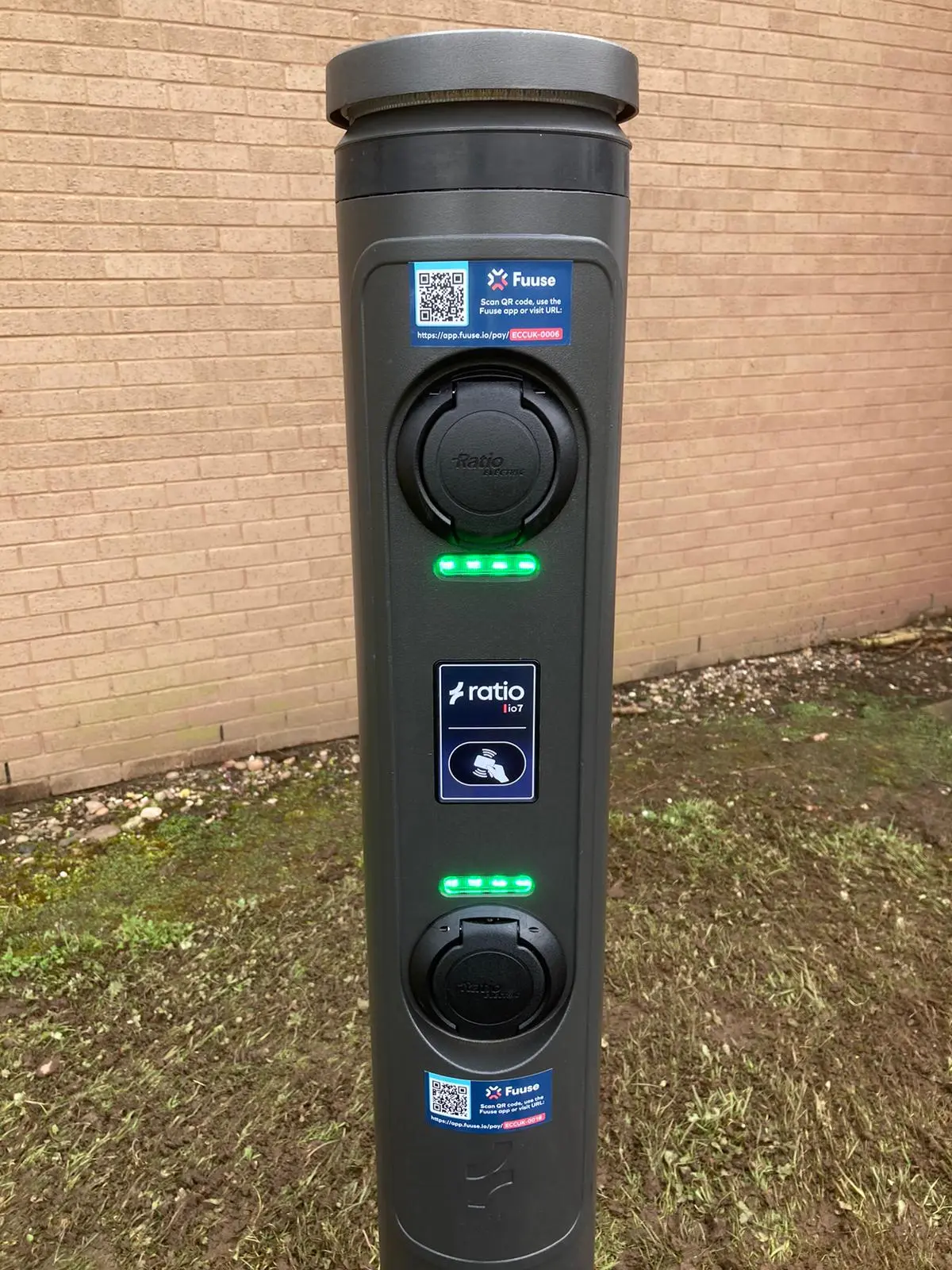 Saint Francis of Assisi  School